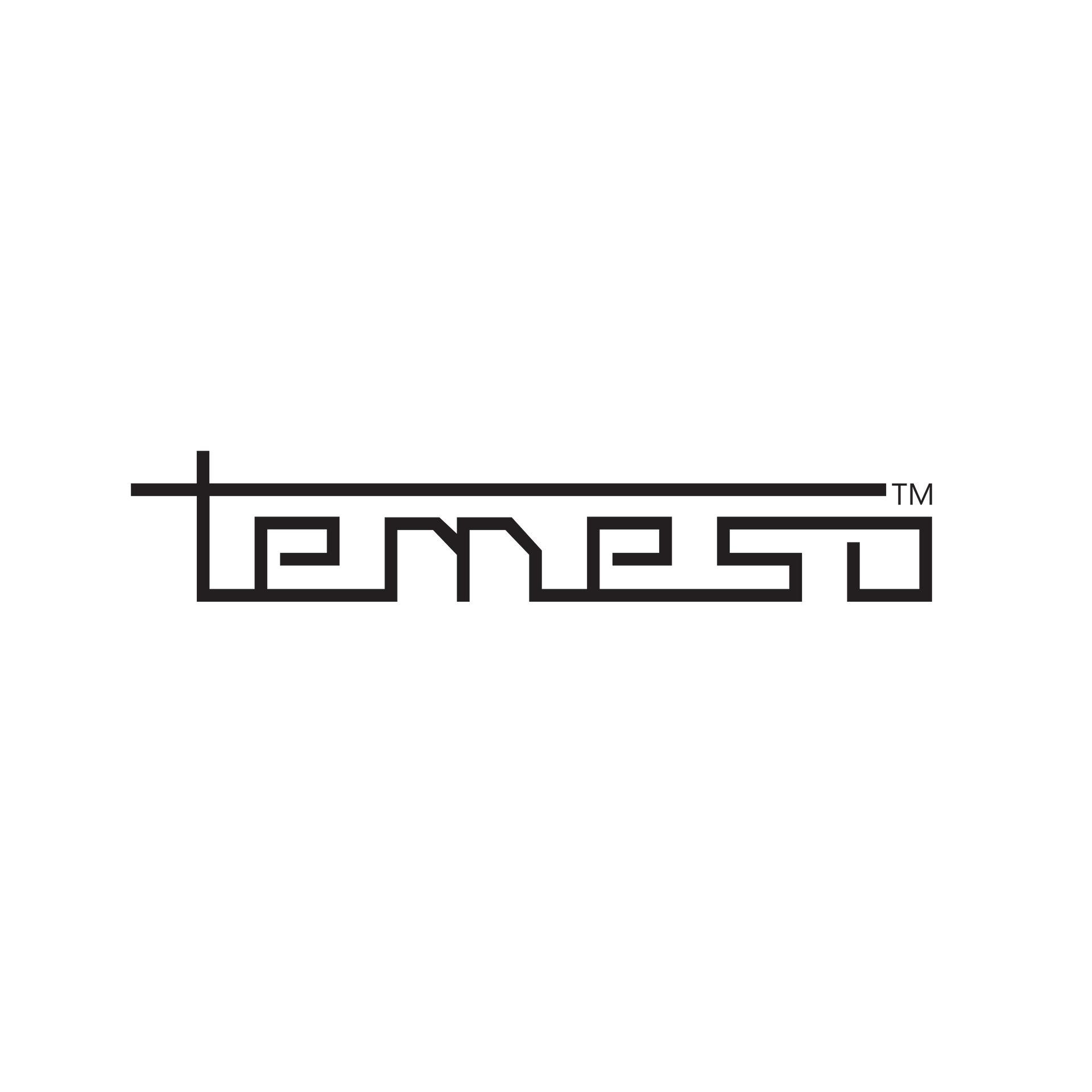 Temeso logo