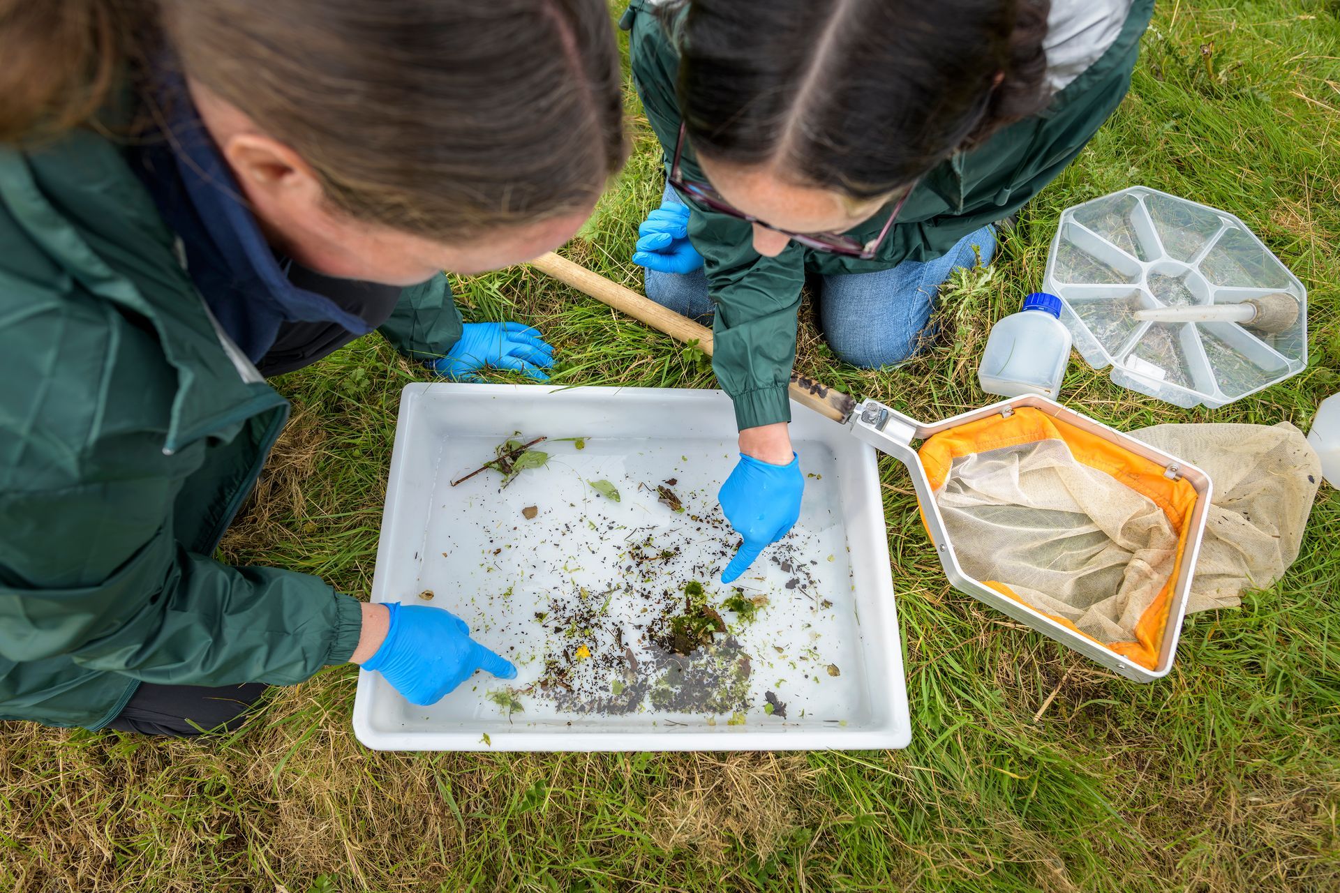 people doing riverfly monitoring