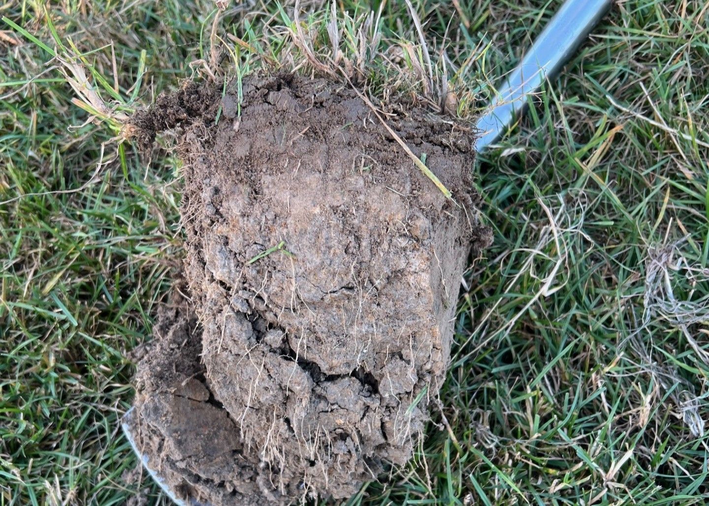 Compacted soil with evidence of oxidisation as a result of water logging.