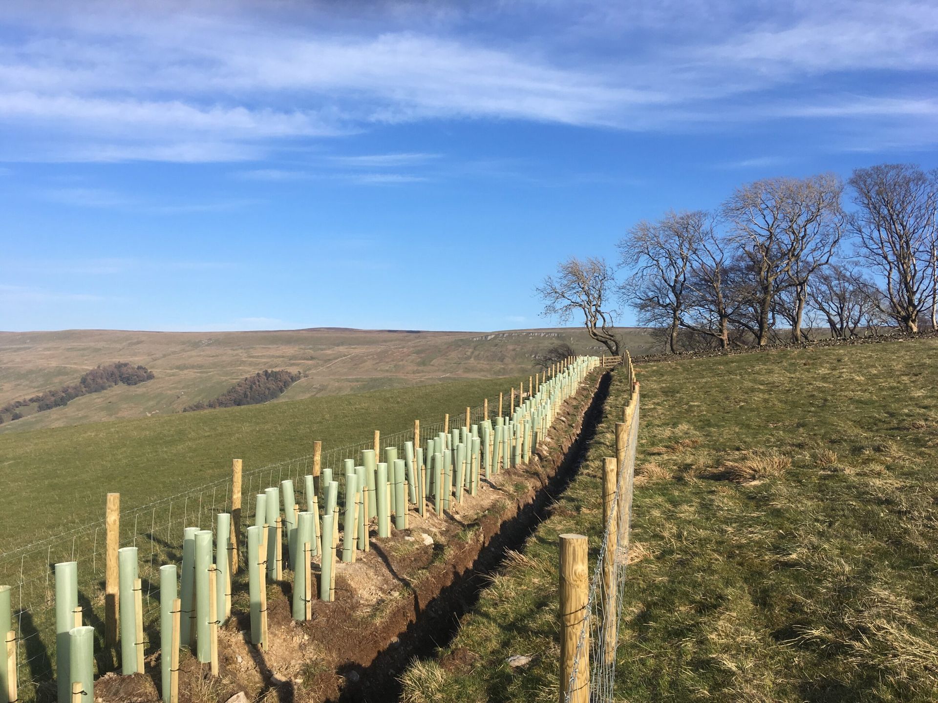 Bishopdale NFM