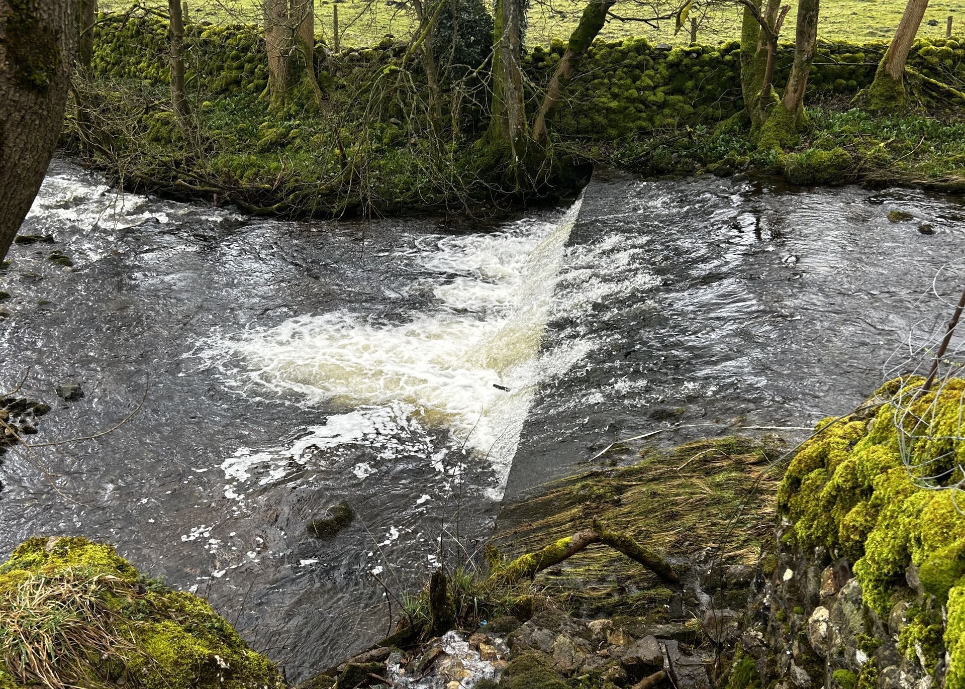 A weir in a beck
