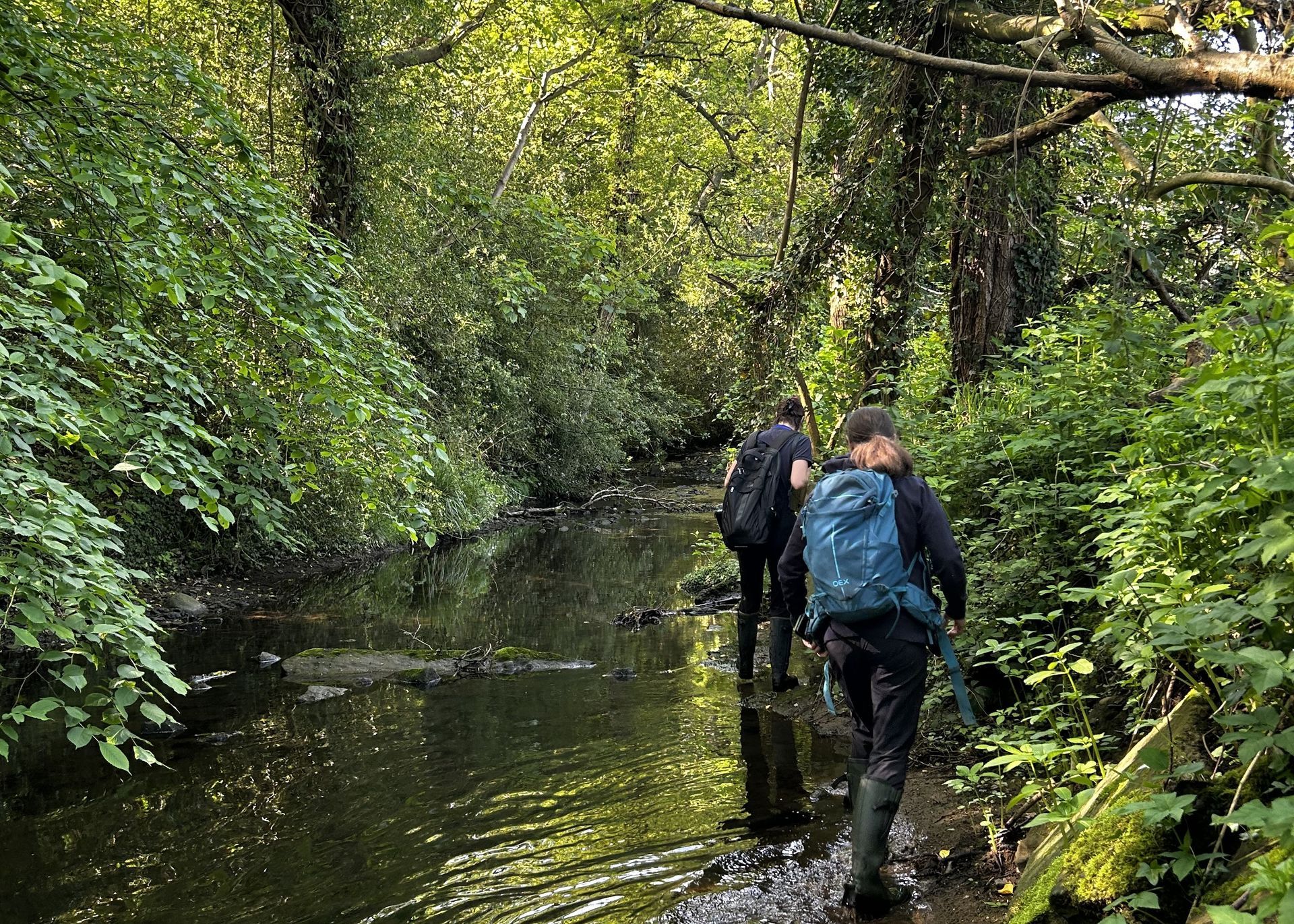 Two people with rucksacks on walking up a stream that has trees growing on either side.