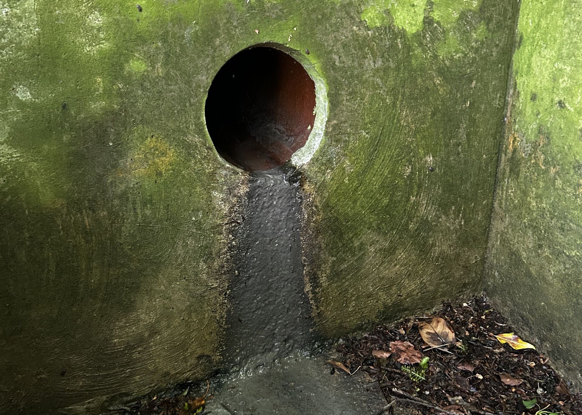 Close up of a combined sewer outfall (CSO) with grey 'sewage fungus' evident.