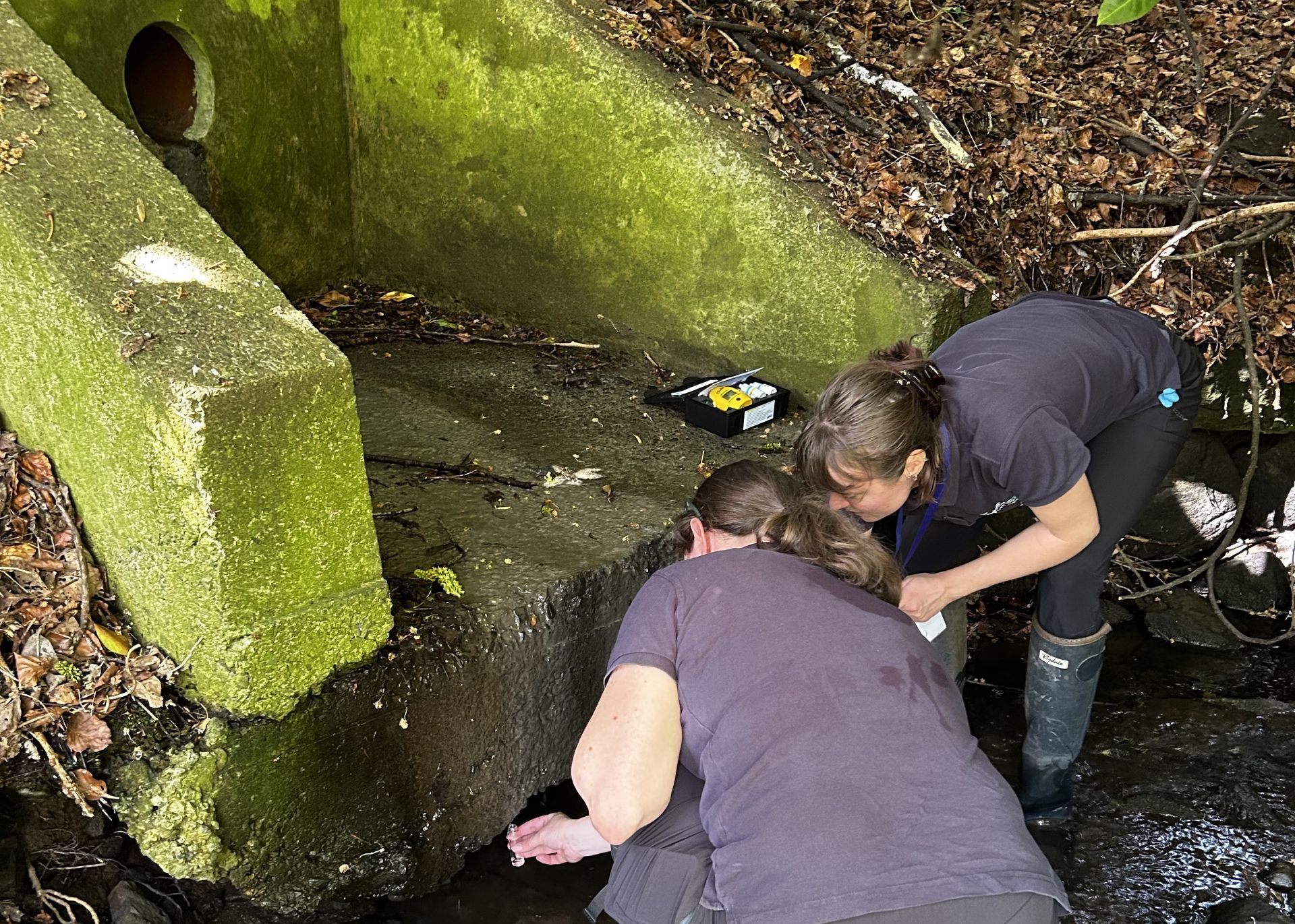Two people collecting water samples to test a sewer outfall.