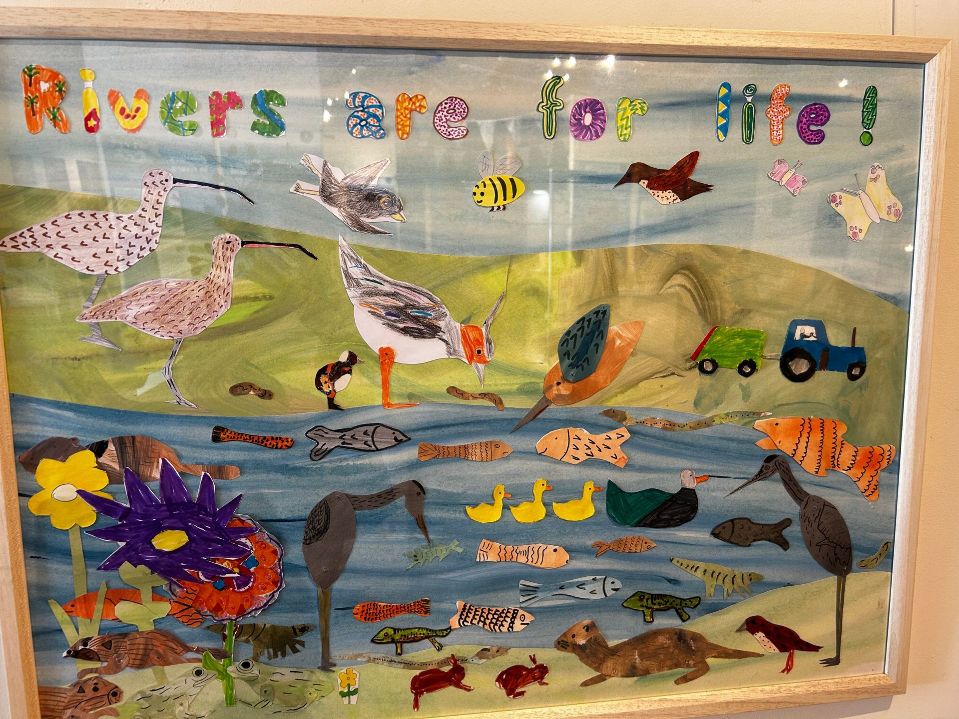 A collage of river wildlife alongside a river.