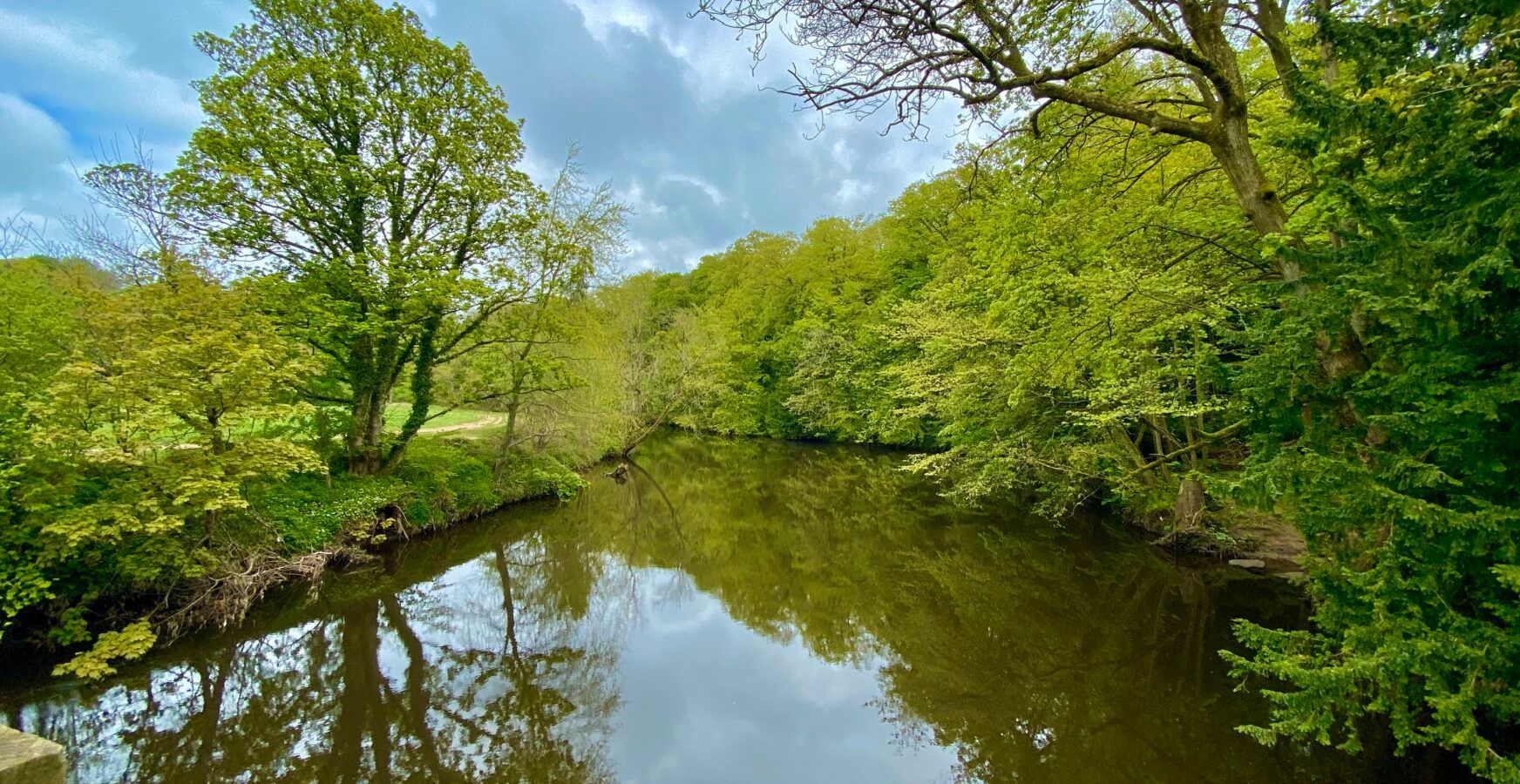 The River Nidd