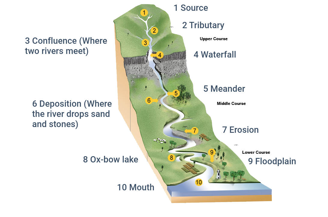 river course graphic