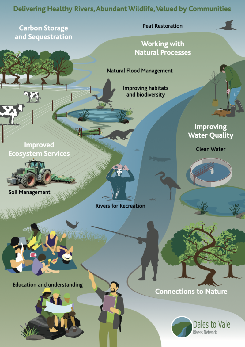 DVRN infographic