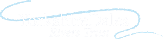 YDRT logo