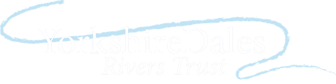 YDRT logo