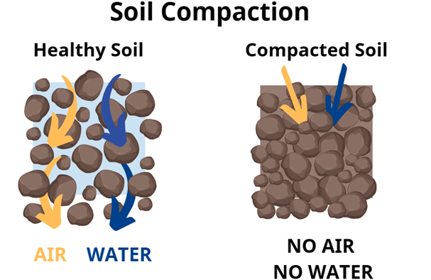 Soil compaction graphic