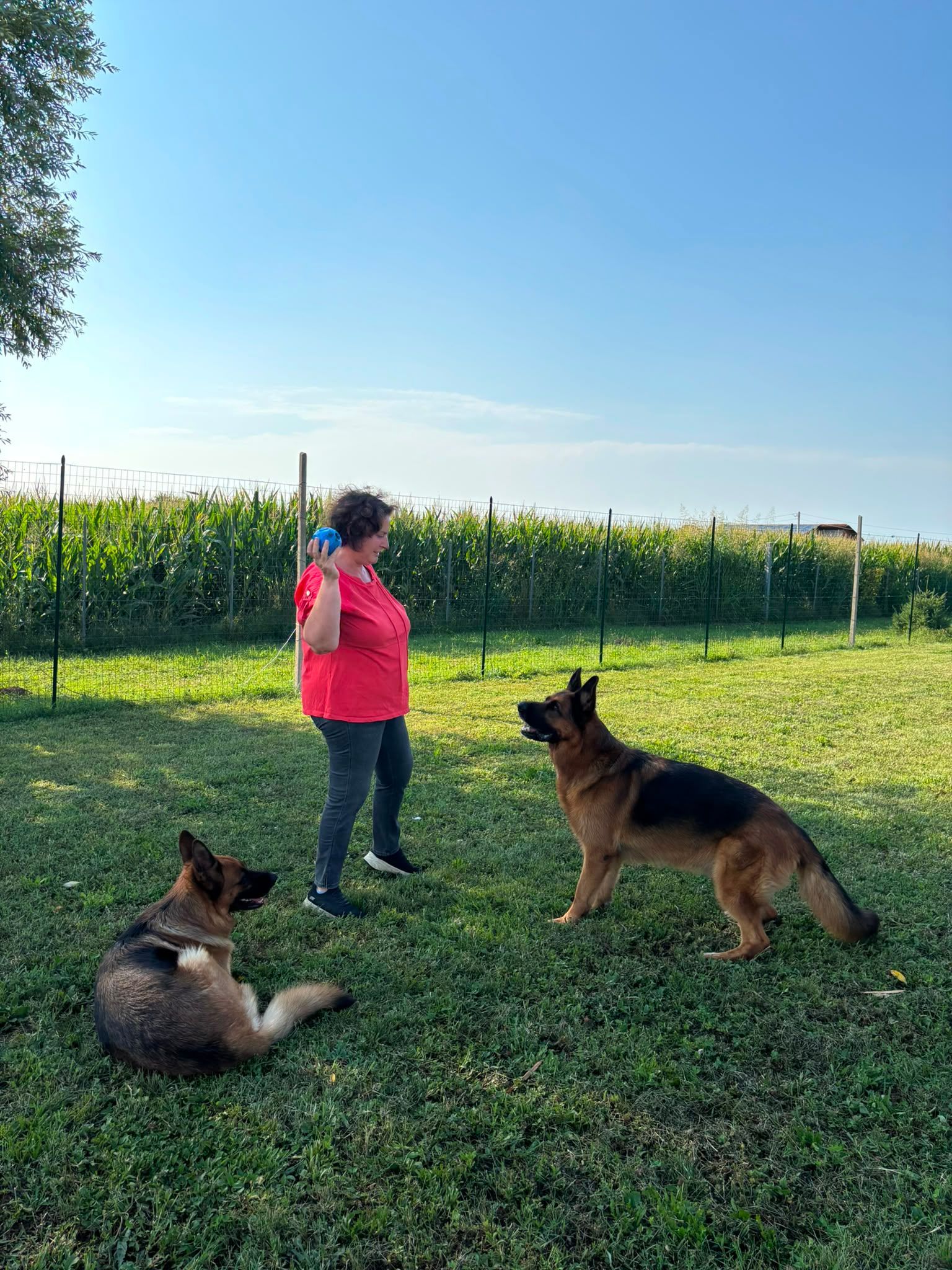 Una persona con una giacca rosa in piedi tra due cani su un prato sotto un cielo azzurro.