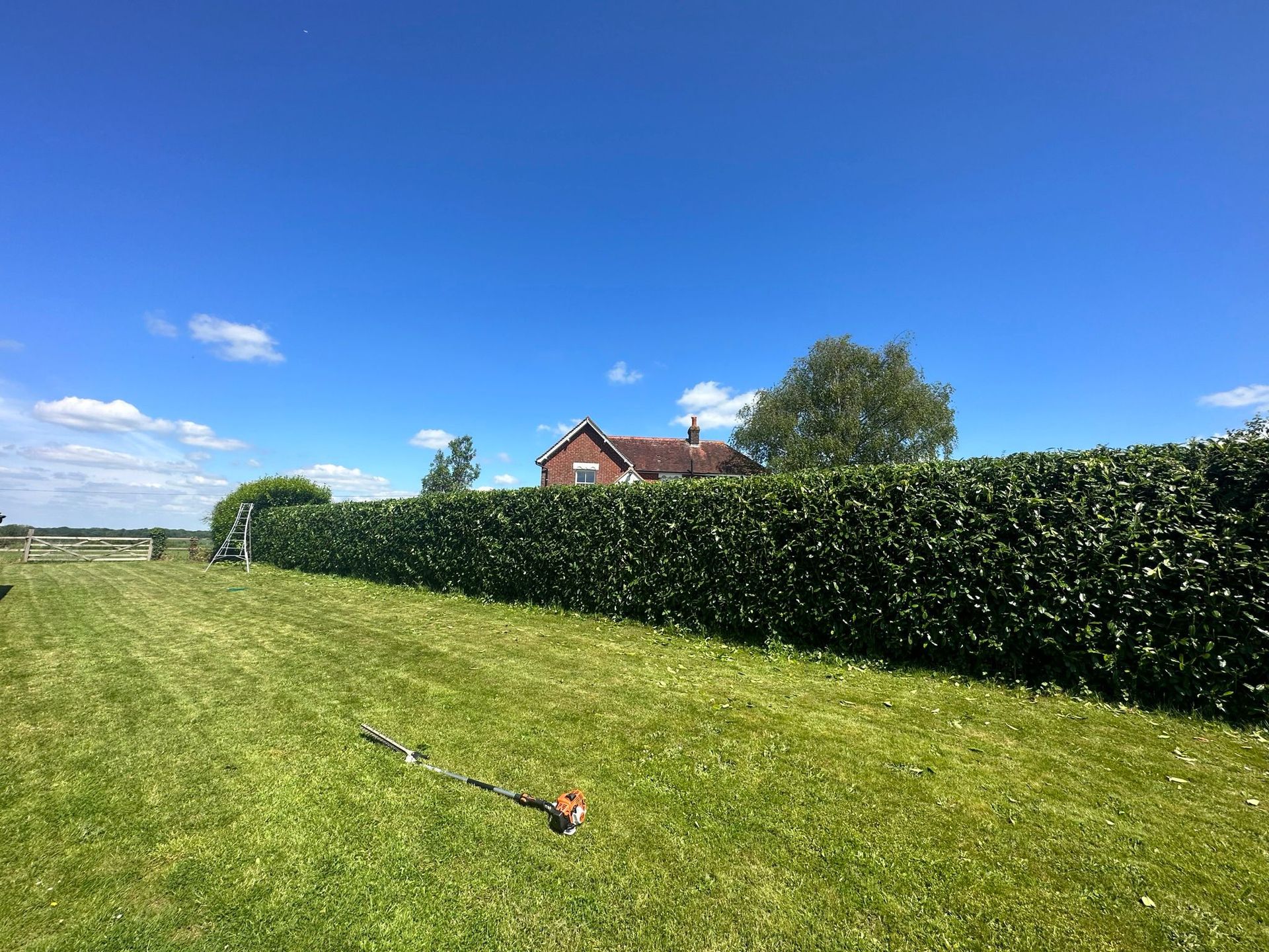 A lawn mower is sitting in the middle of a lush green field with trimmed hedge adjacent