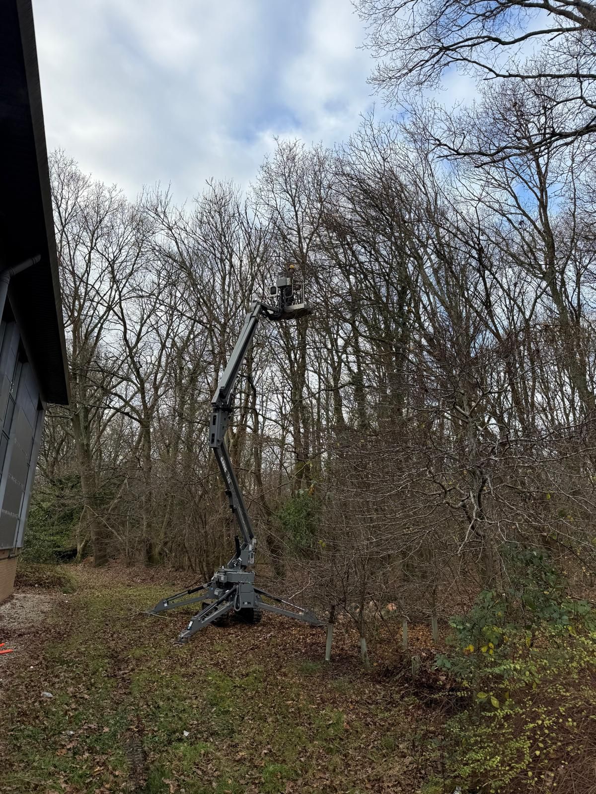 A crane is being used to work on a tree next to a building