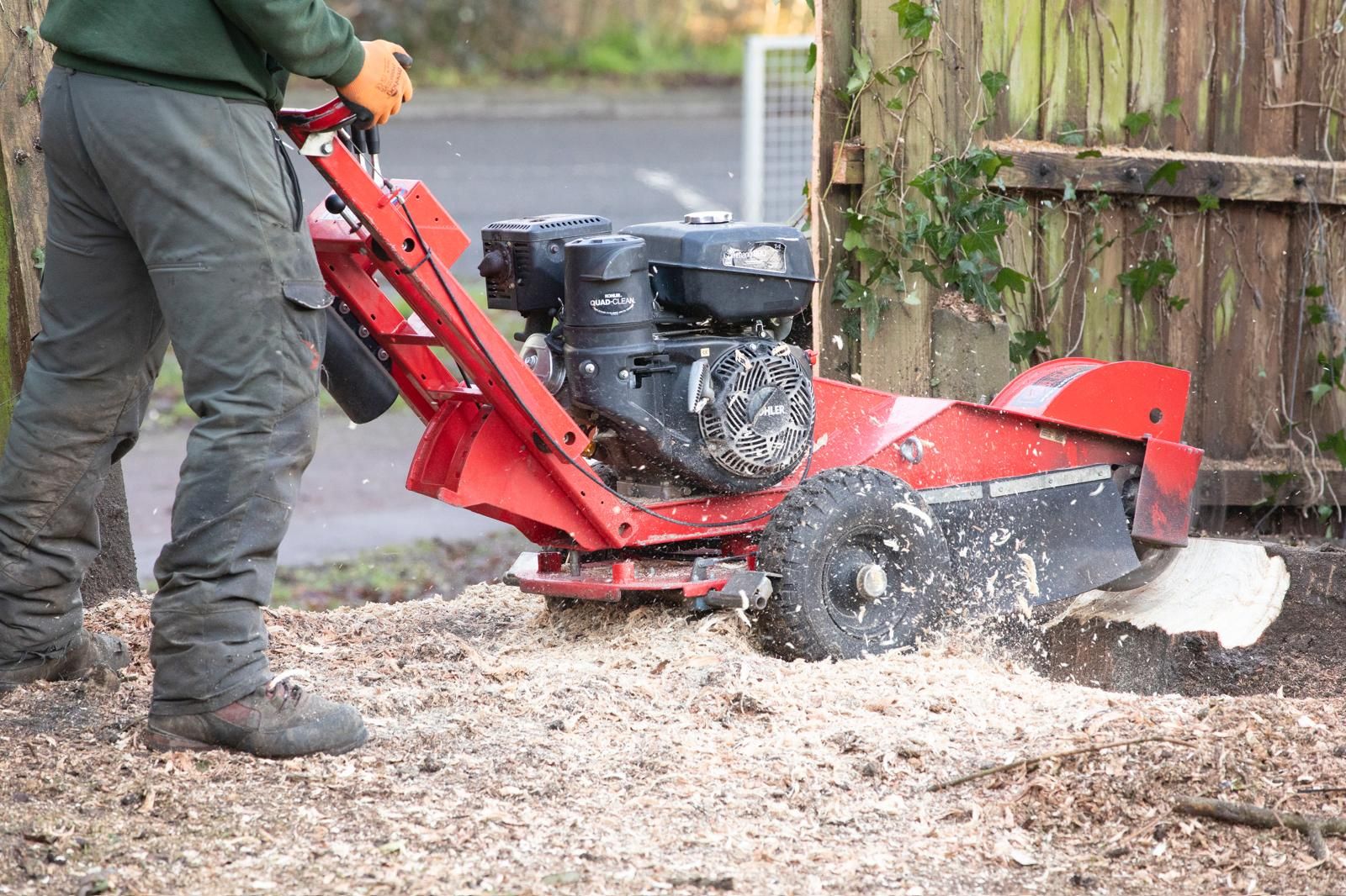 A tree surgeon is using a stump grinder to remove a tree stump.