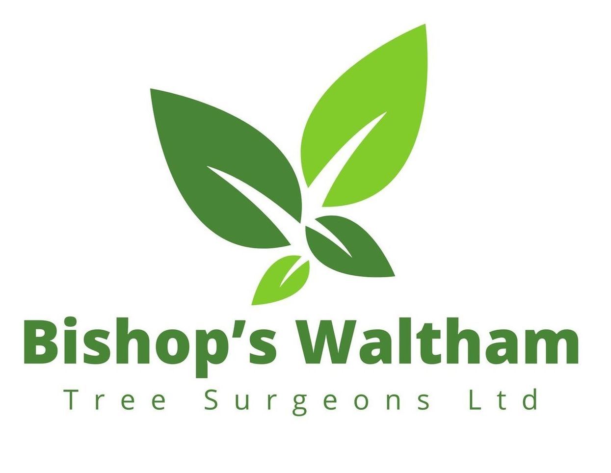Bishop Waltham