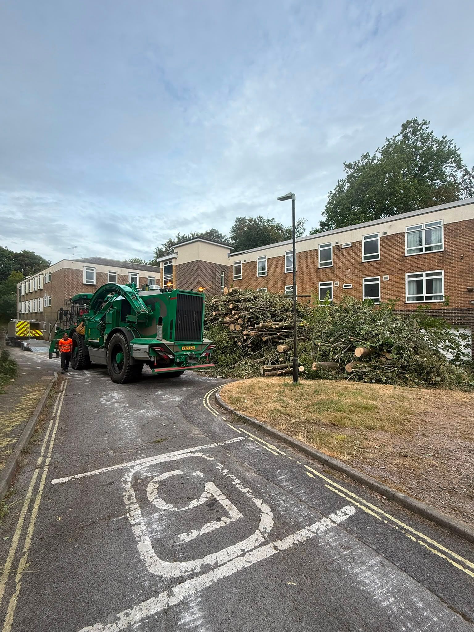 Commercial tree surgeons carrying out professional tree work in Hampshire