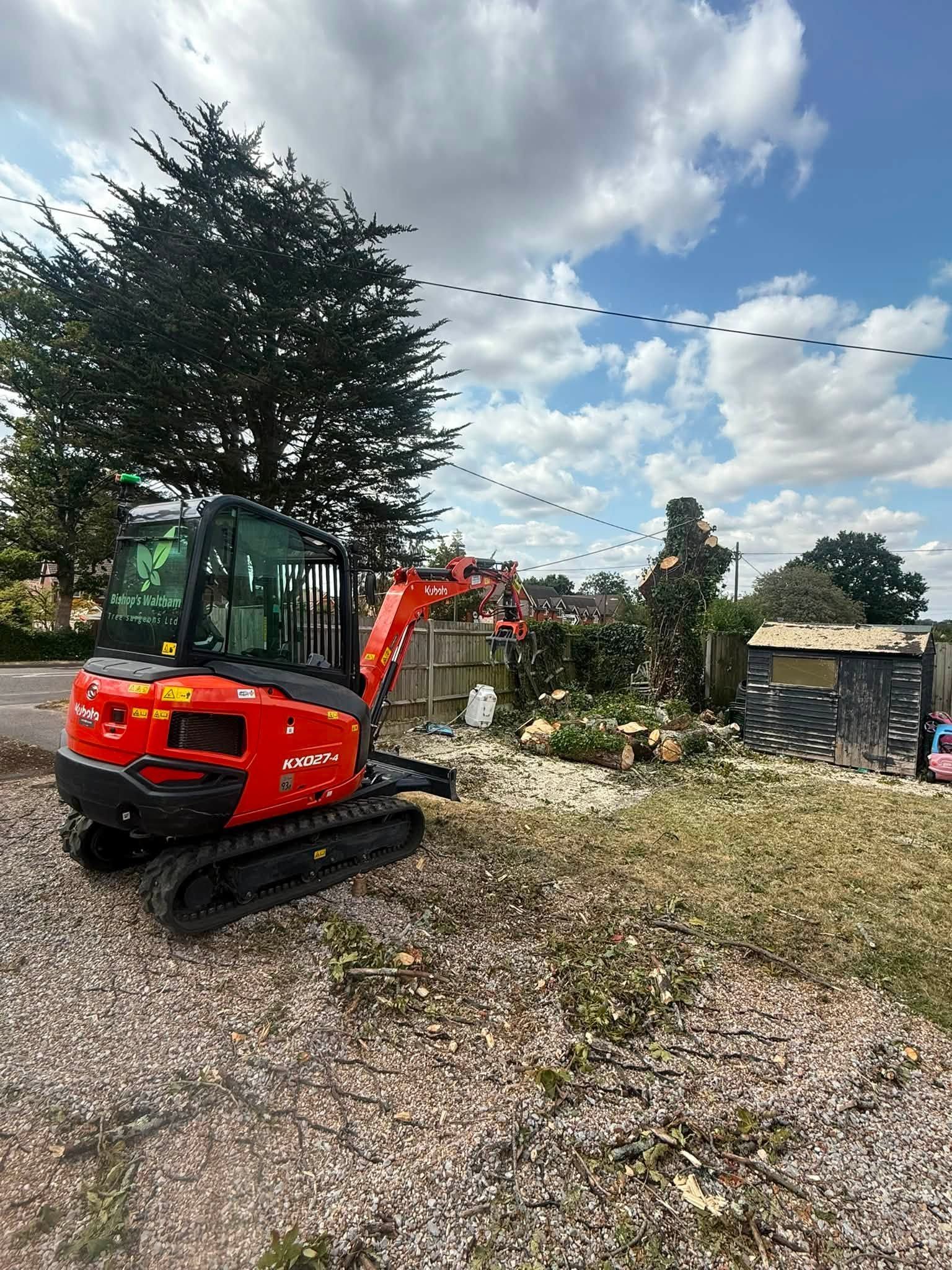 Commercial tree removal and dismantling in Hampshire