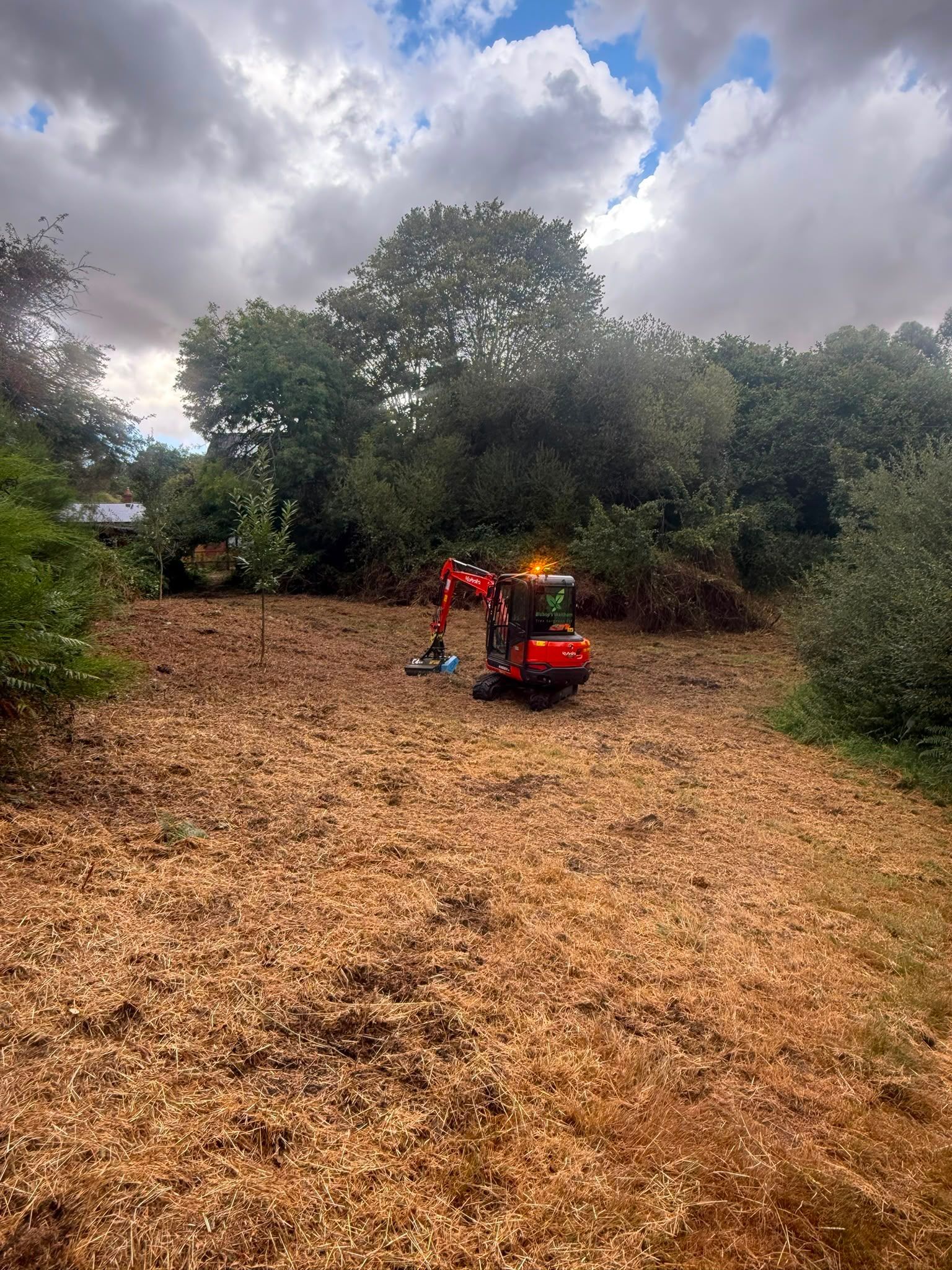 Orange tractor clearing dry fallen leaves in a wooded area under cloudy sky