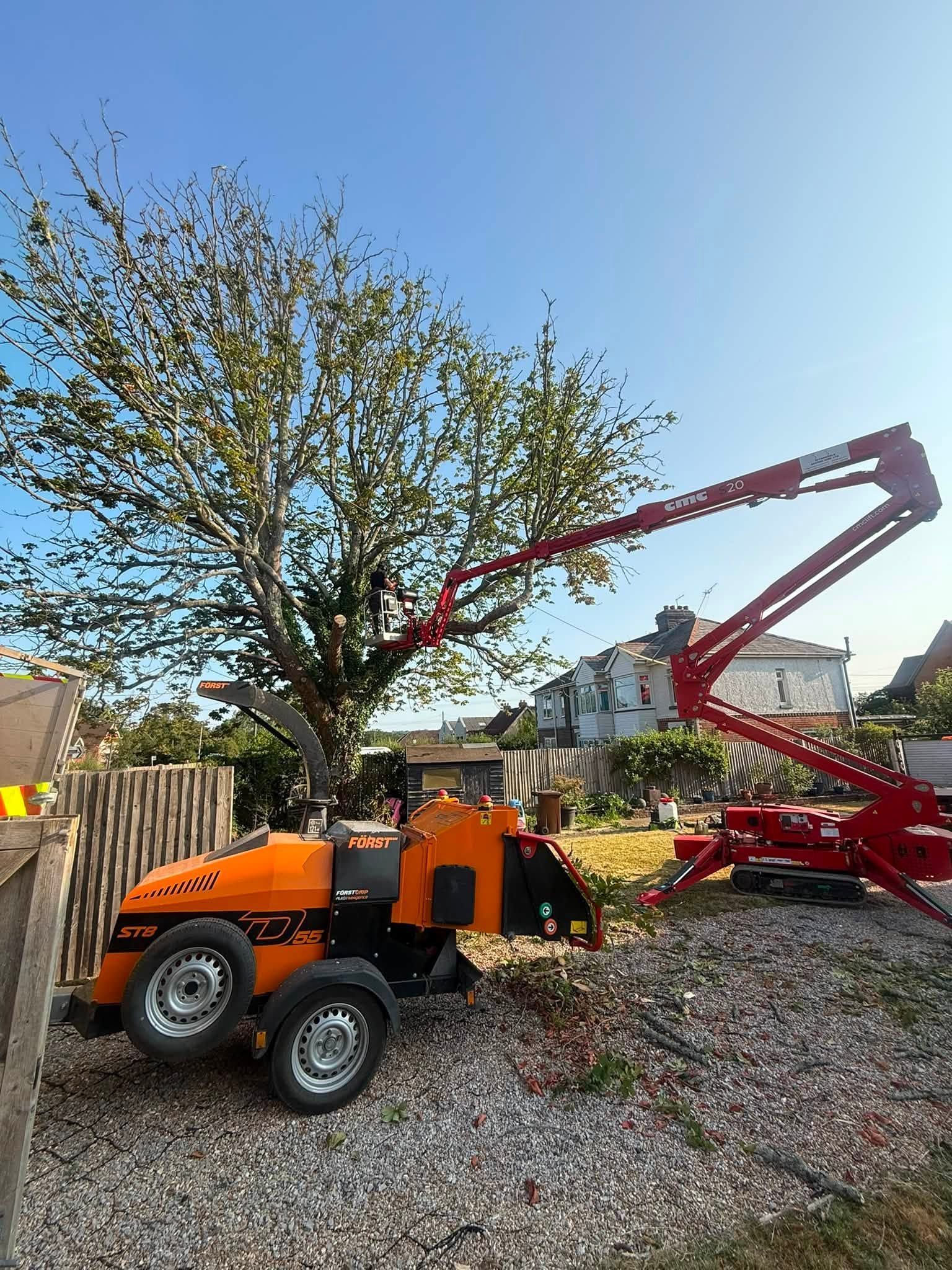 Commercial tree pruning and maintenance in Hampshire