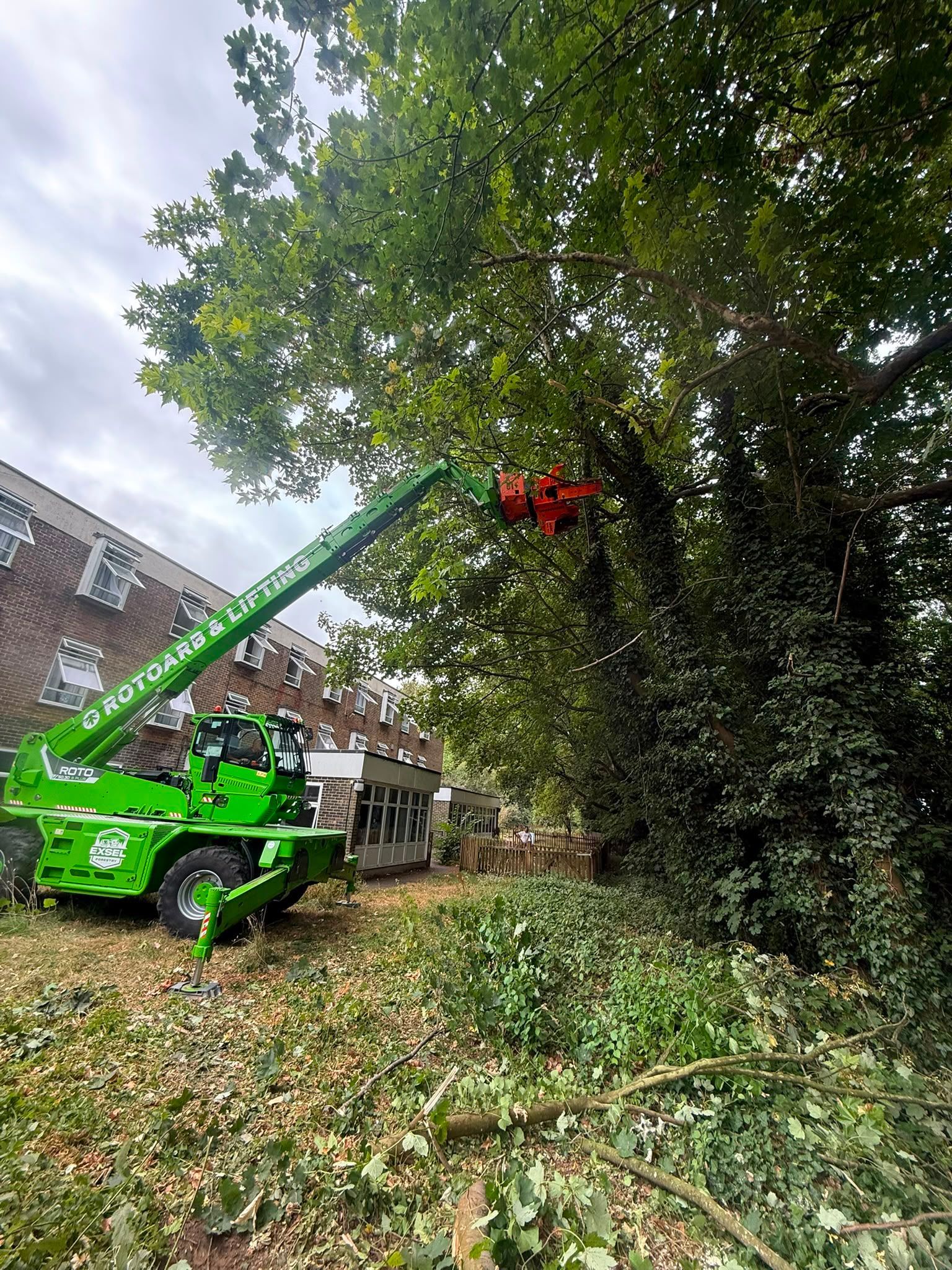 Commercial tree surgeons using specialist machinery in Hampshire