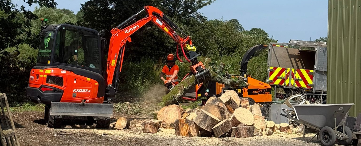 Bishops Waltham team working on a tree removal job in Hedge End