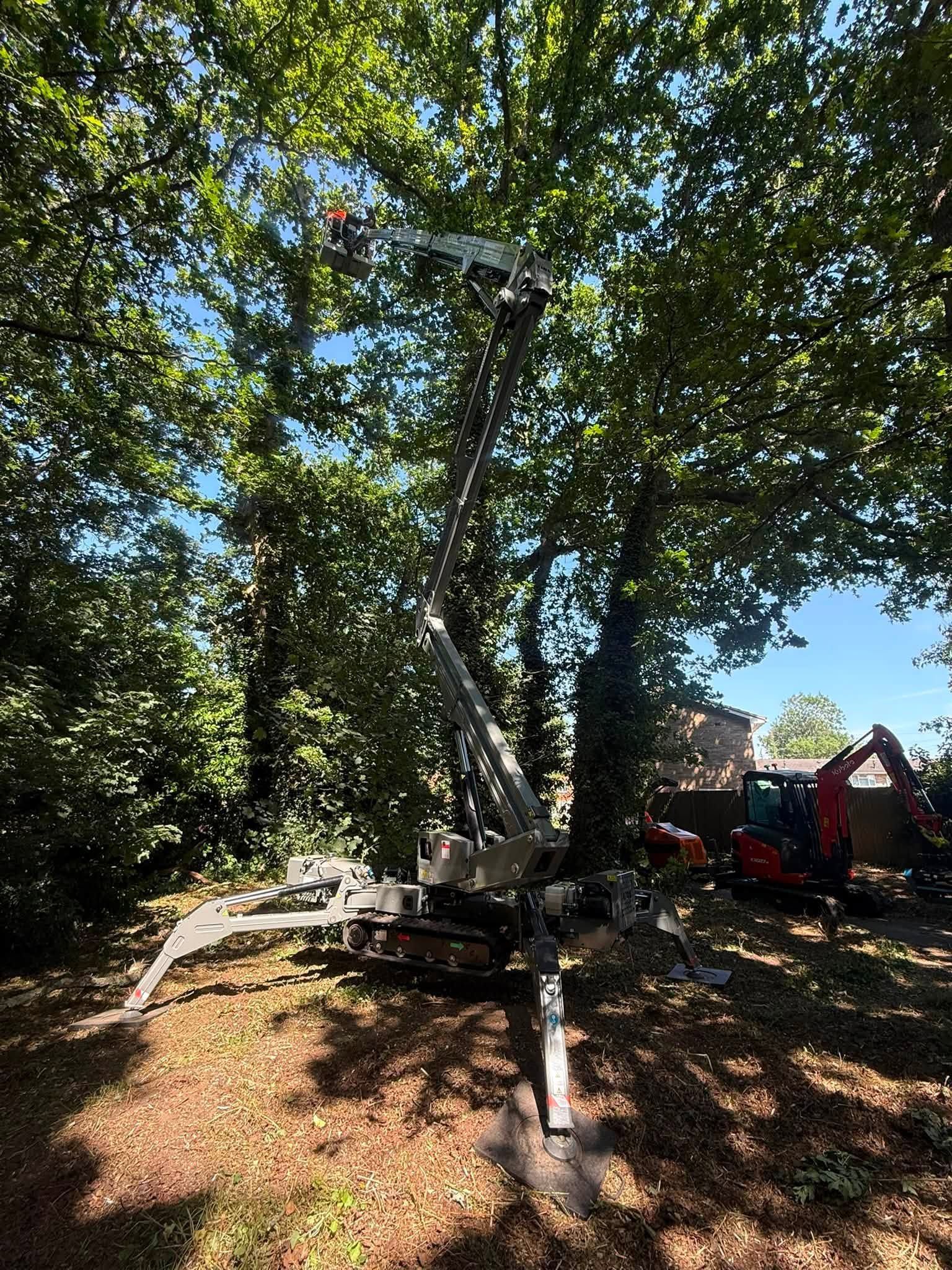 Commercial vegetation and site clearance in Hampshire