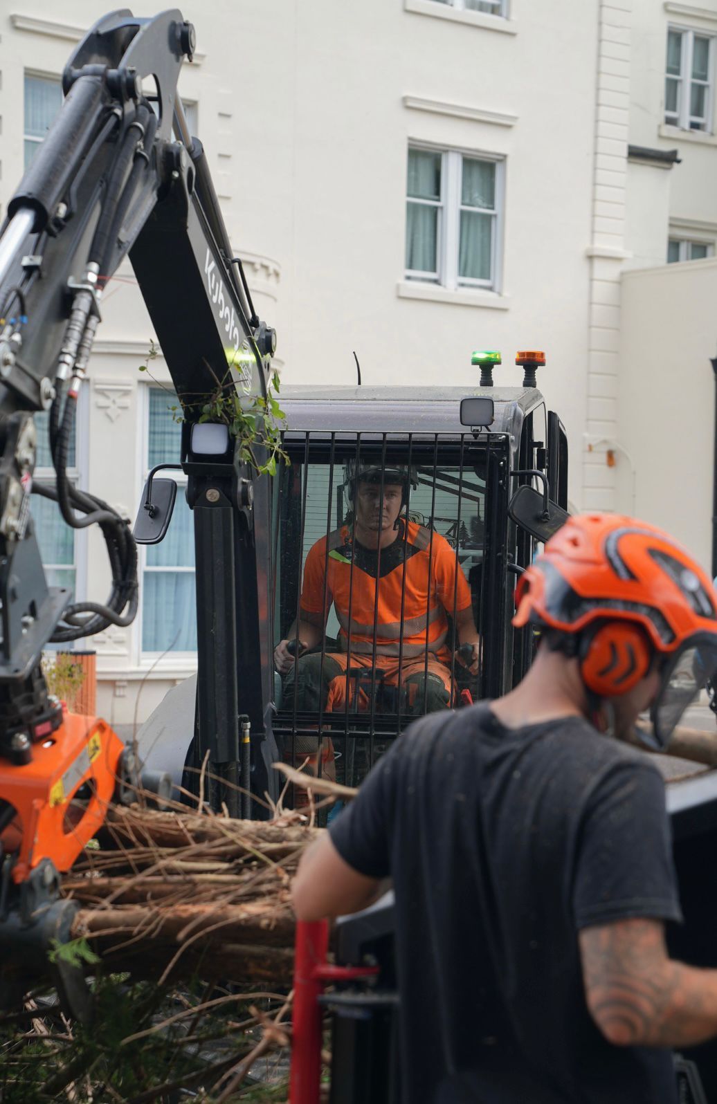 Tree Removal & Tree Felling