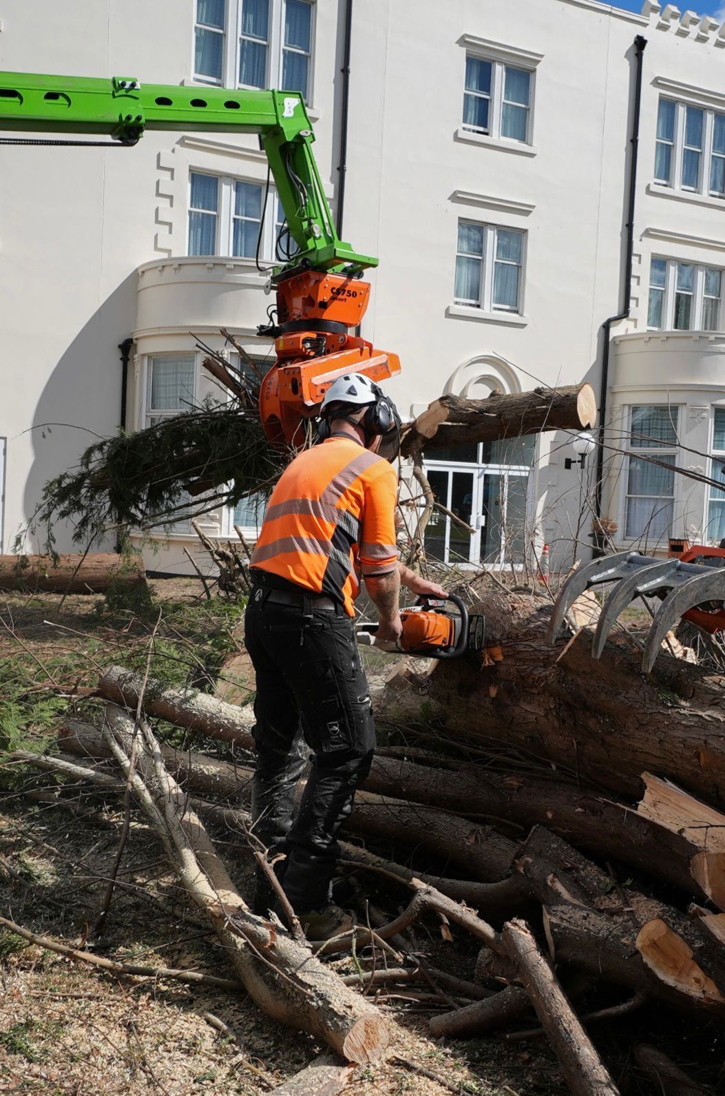 Tree Removal & Tree Felling
