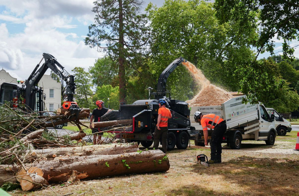 Emergency Tree Work
