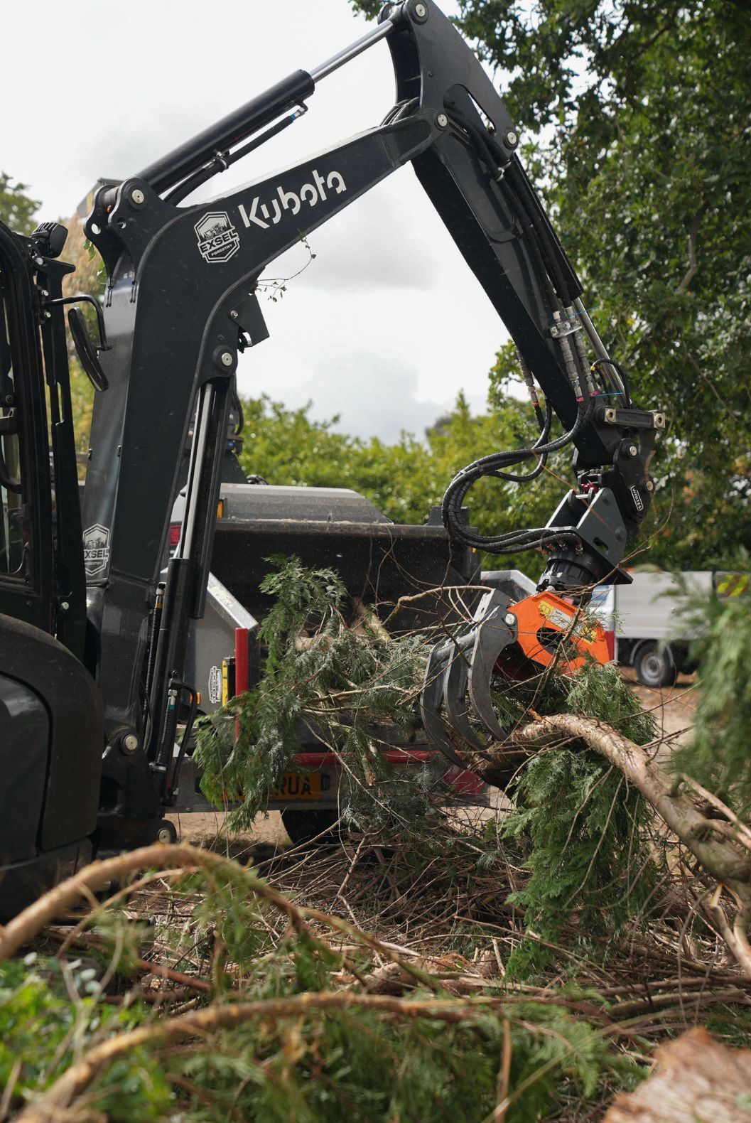 Emergency Tree Work