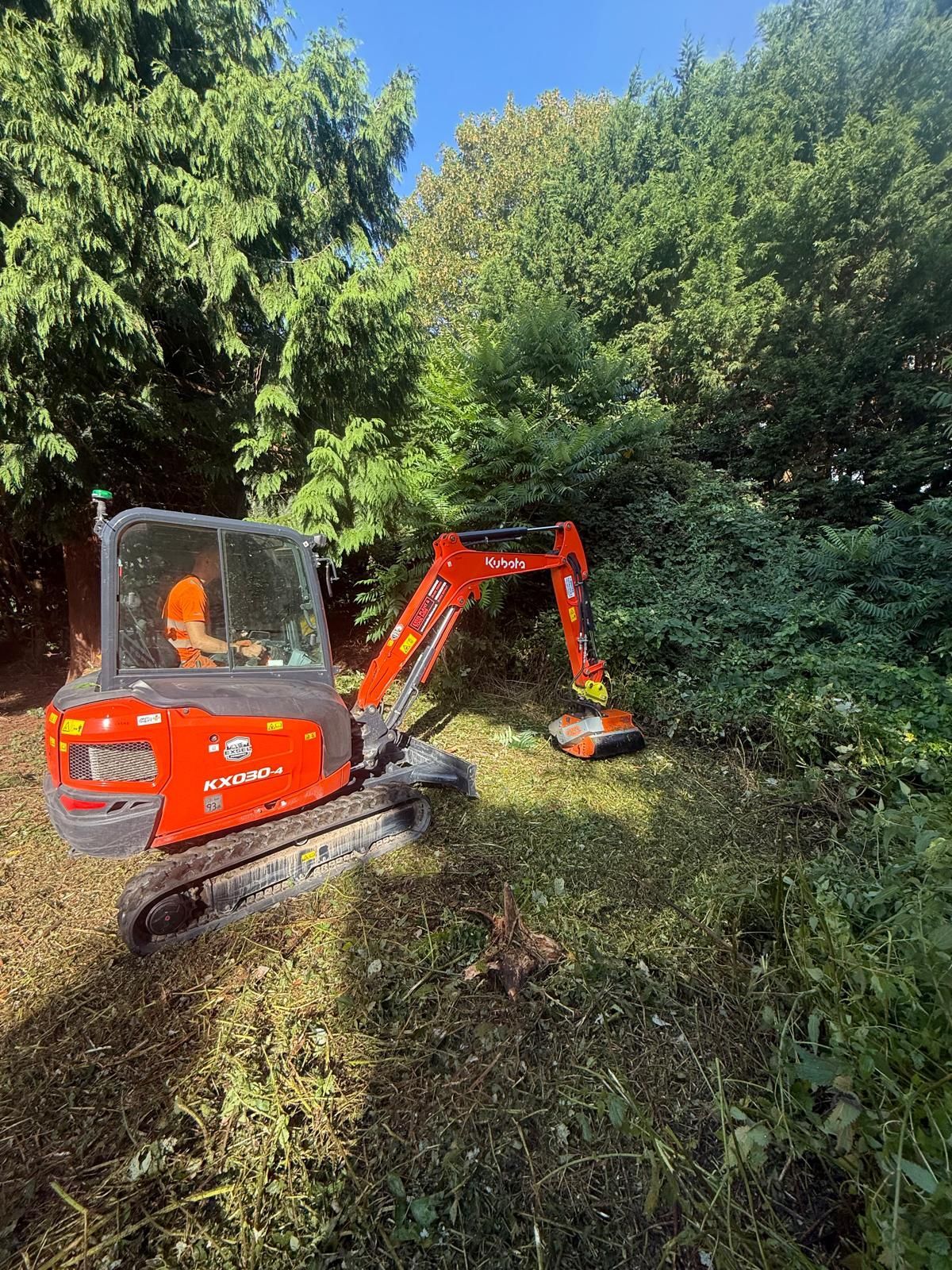 Orange excavator clearing overgrown brush in a wooded area under bright sunlight