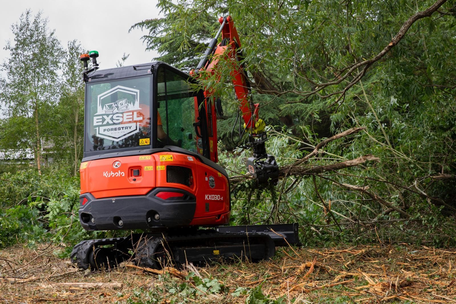 SOUTHAMPTON TREE SURGEONS