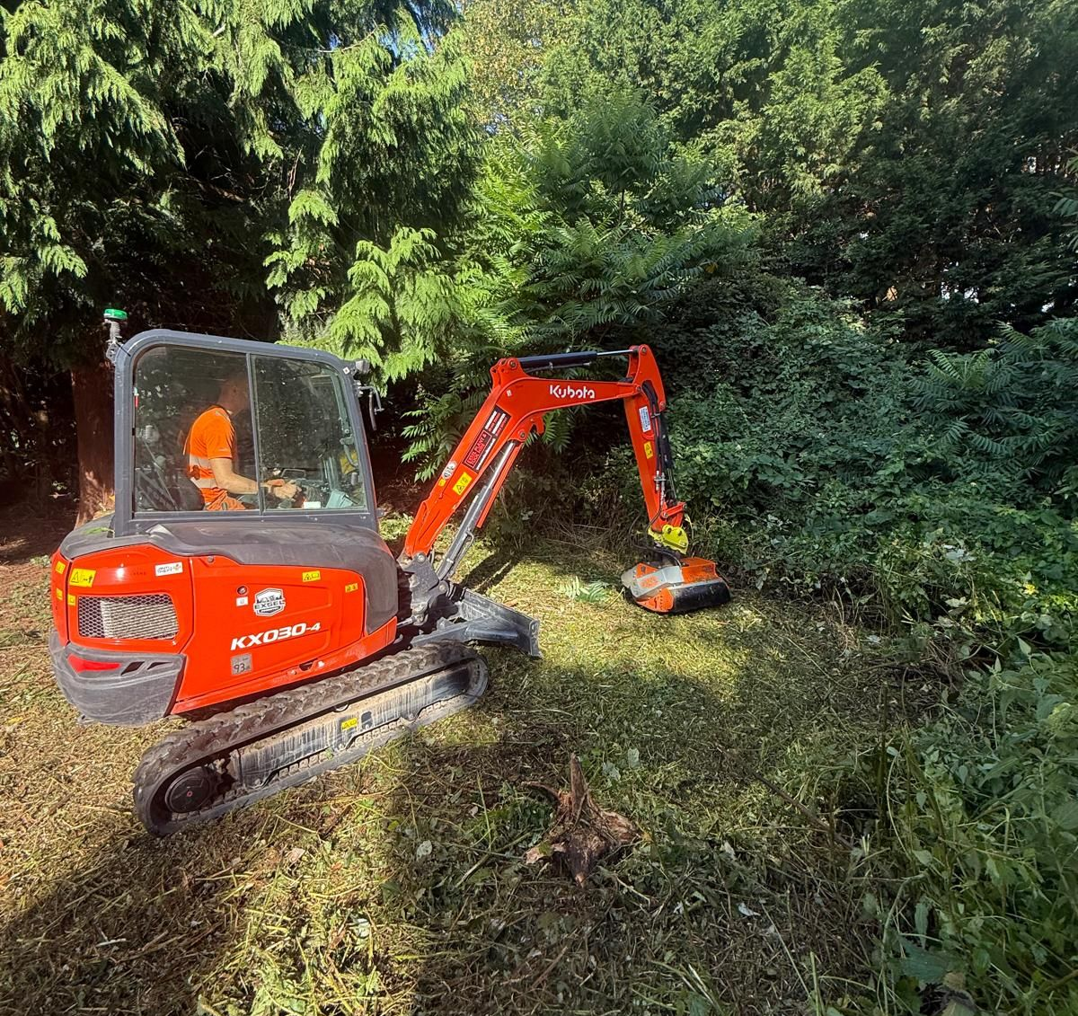 Orange mini excavator clearing brush in a dense green wooded area.