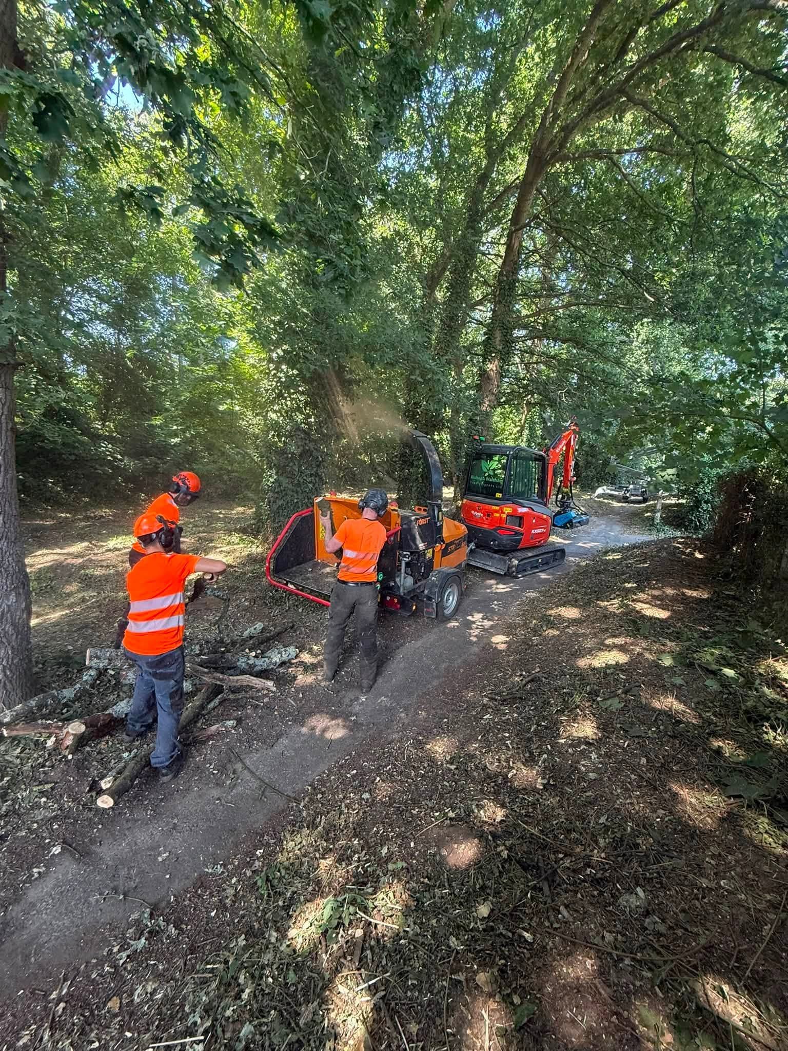 Forestry and woodland management in Hampshire