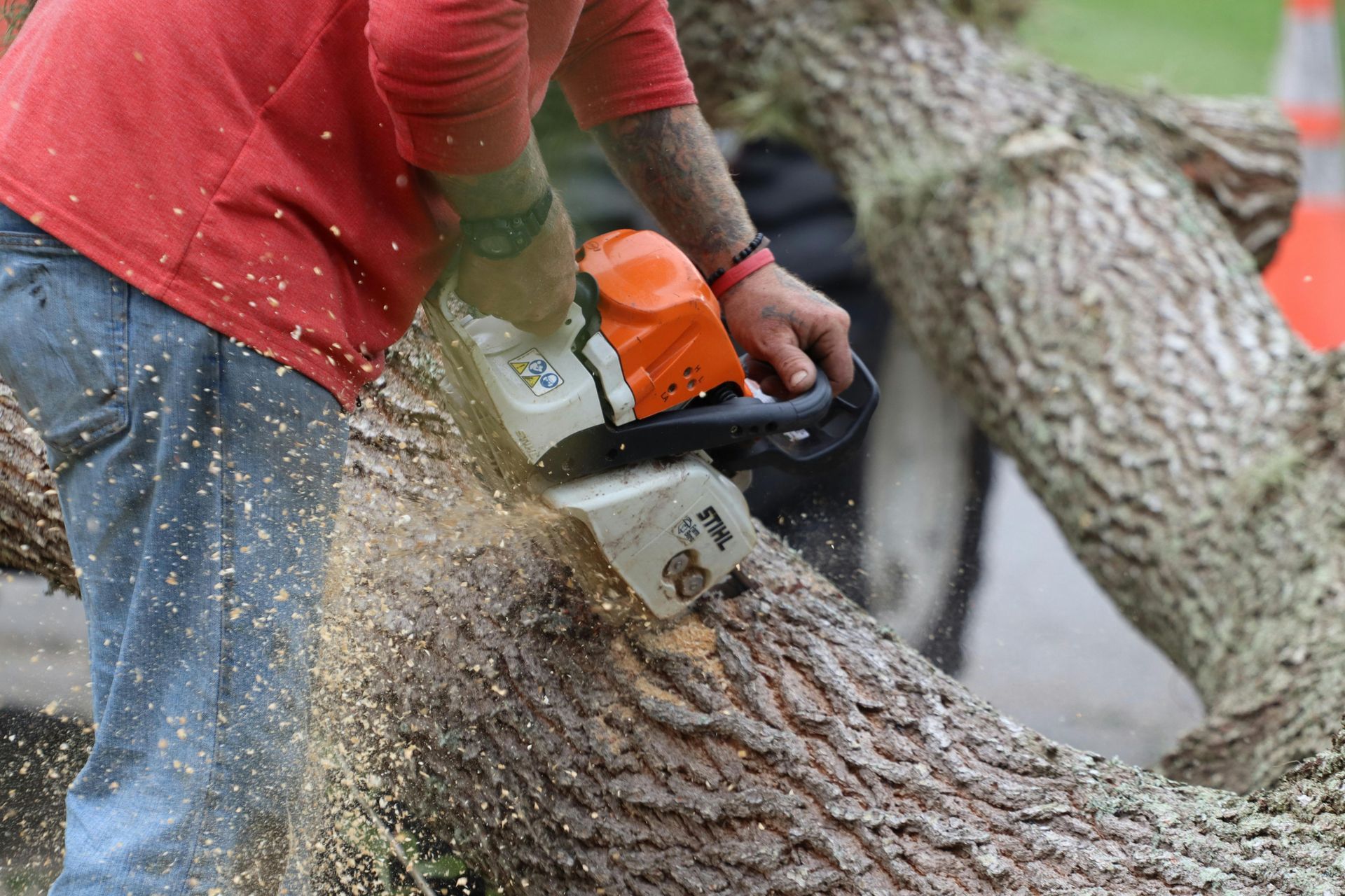 Emergency Tree Work