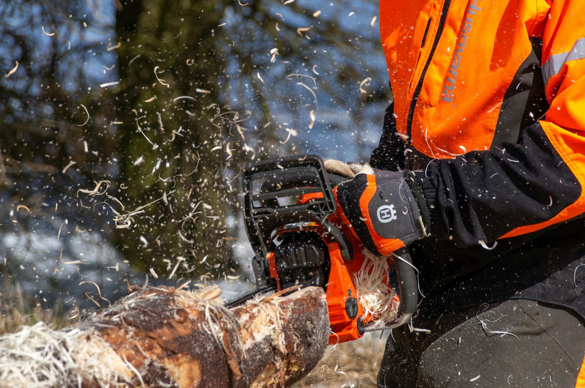 SOUTHAMPTON TREE SURGEONS