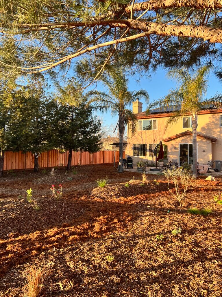 A backyard with a fence , trees and a house in the background.