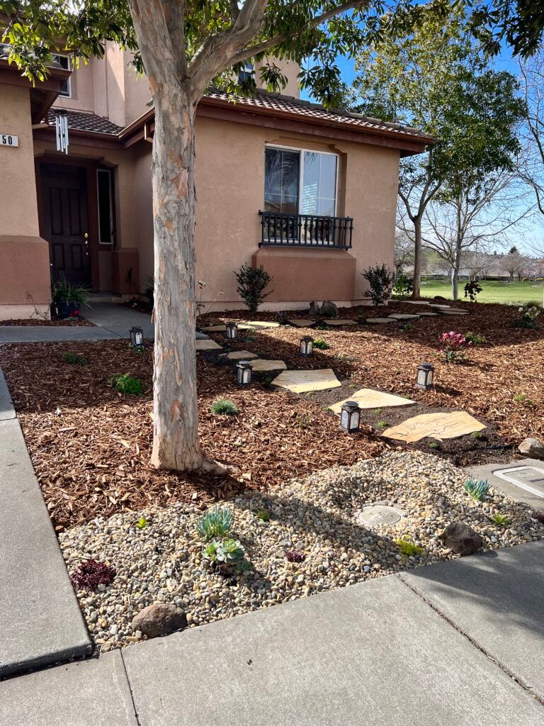 A house with a tree in front of it is surrounded by mulch and rocks.