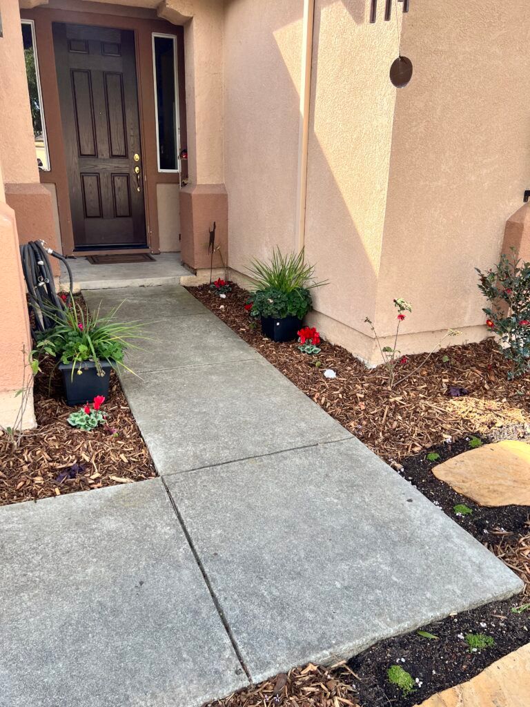 A concrete walkway leading to the front door of a house.