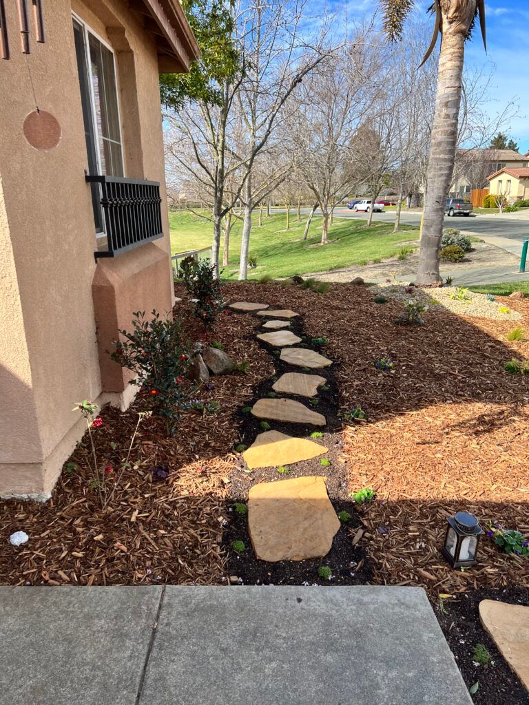 A stone walkway leading to a house with a palm tree in the background.
