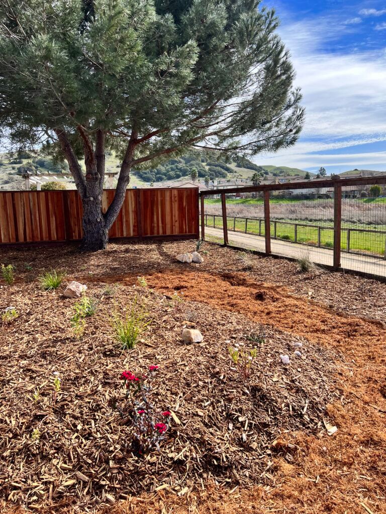 A wooden fence surrounds a lush green field with a tree in the background.