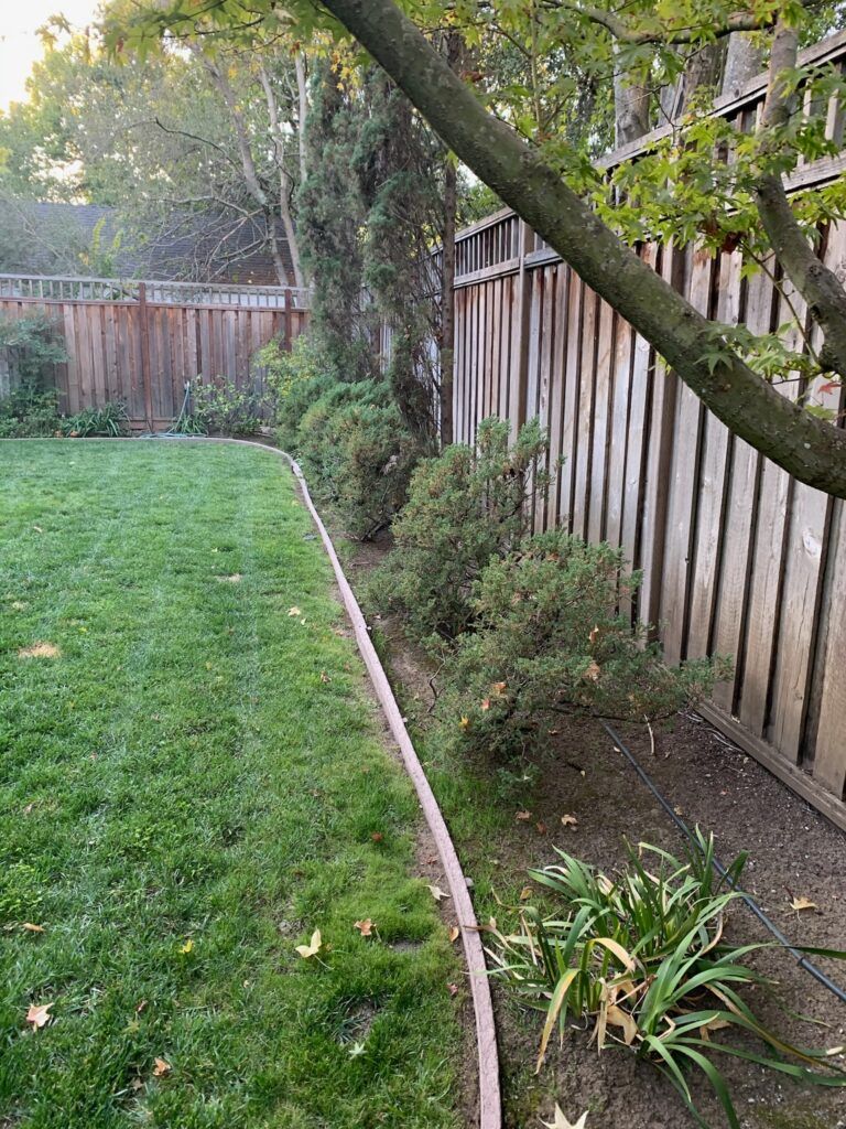 A backyard with a wooden fence and a lush green lawn.