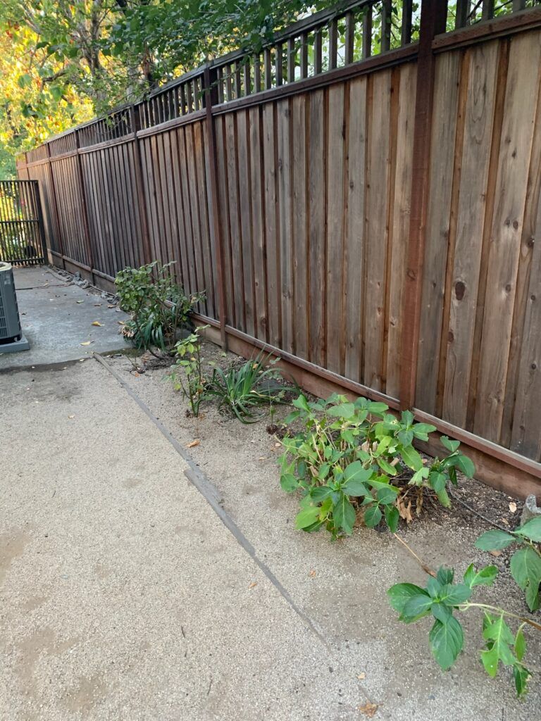 A wooden fence is surrounded by plants and a concrete walkway.