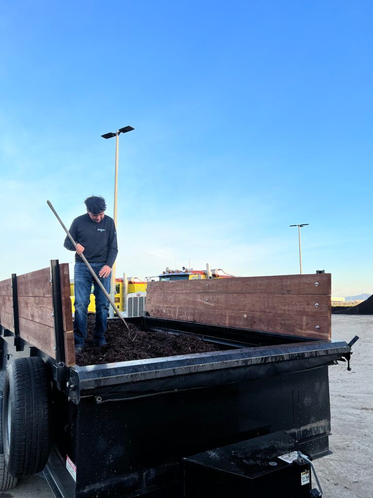 A man is standing in the back of a dump truck holding a rake.