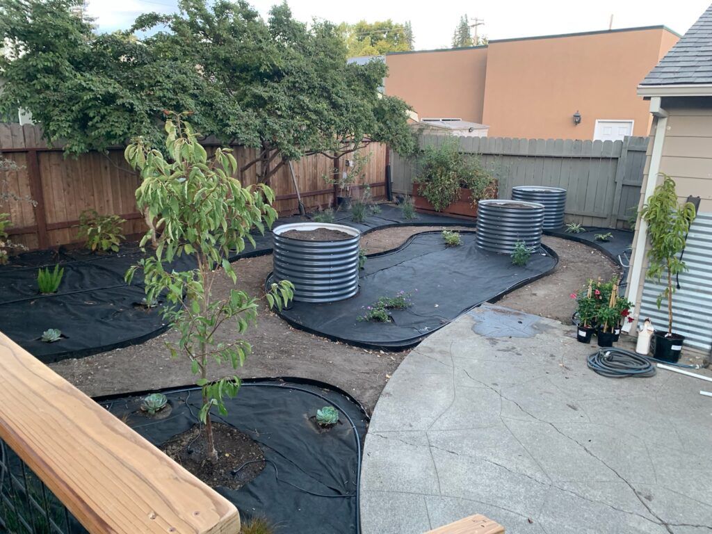 A backyard with a fence and a lot of plants