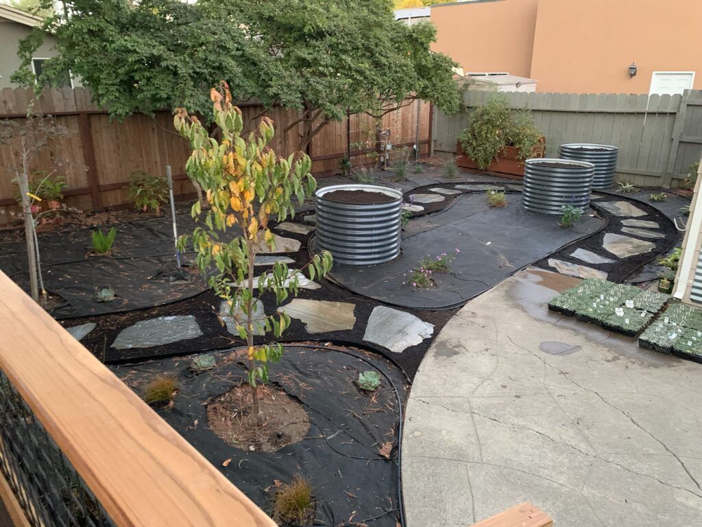 A backyard with a fence and a few trees