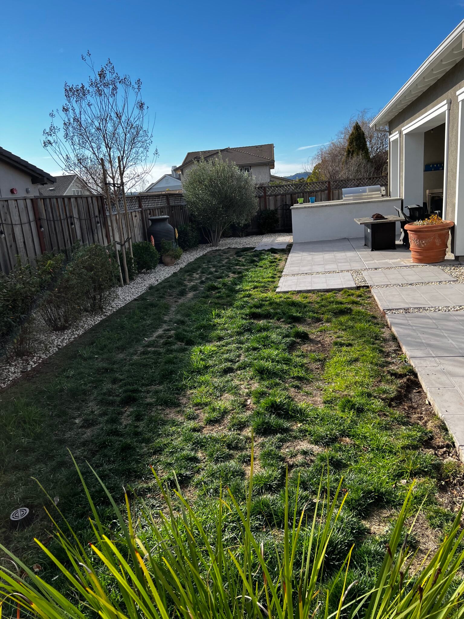 A lush green backyard with a patio and a house in the background.