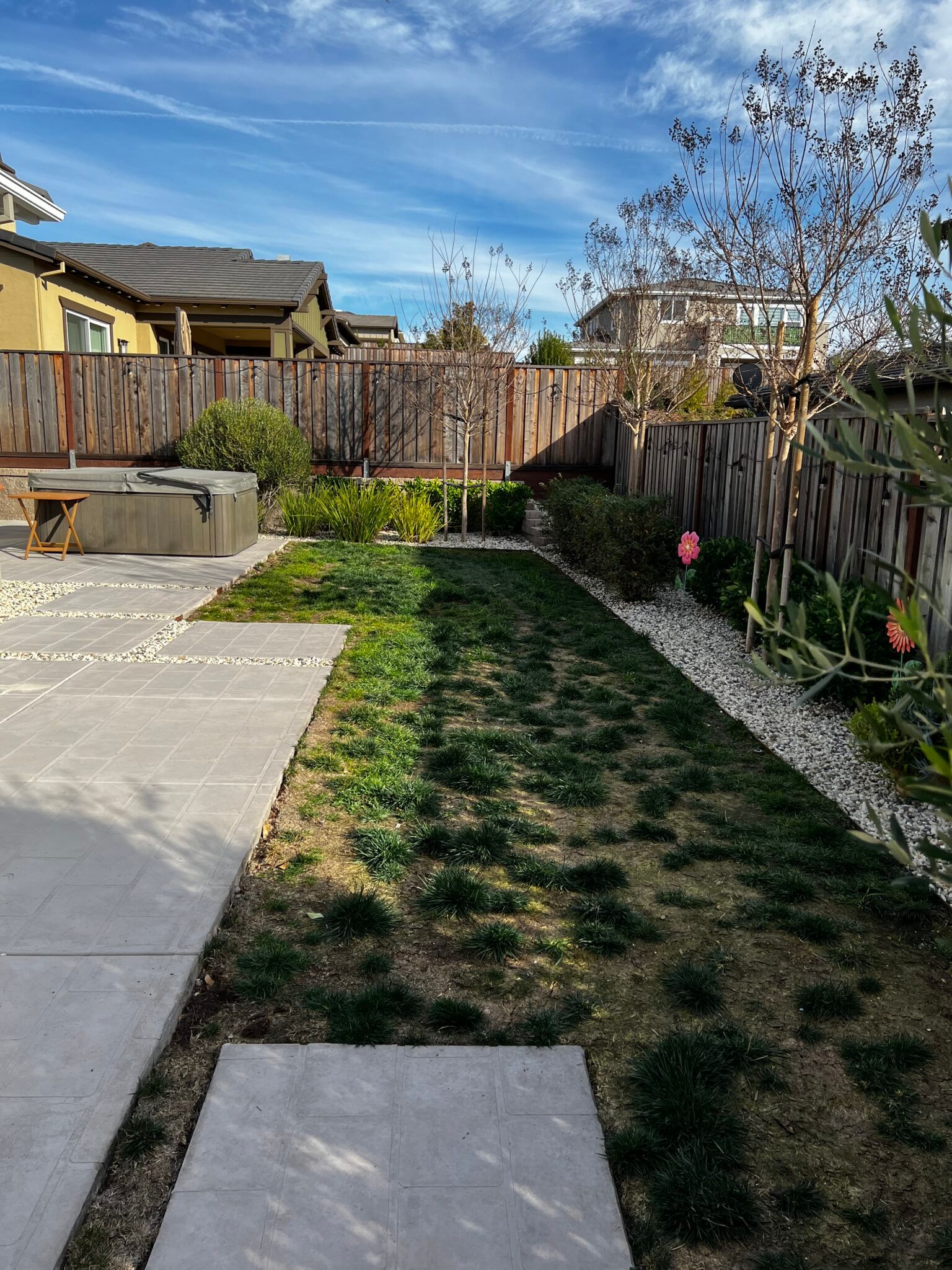 A lush green yard with a wooden fence and a concrete walkway leading to a house.