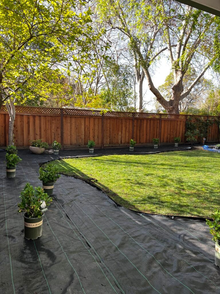 A backyard with a fence and a lot of potted plants.